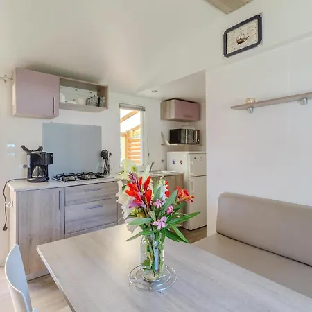 Camping Pet Friendly Stacaravan Saint-Georges-de-Didonne