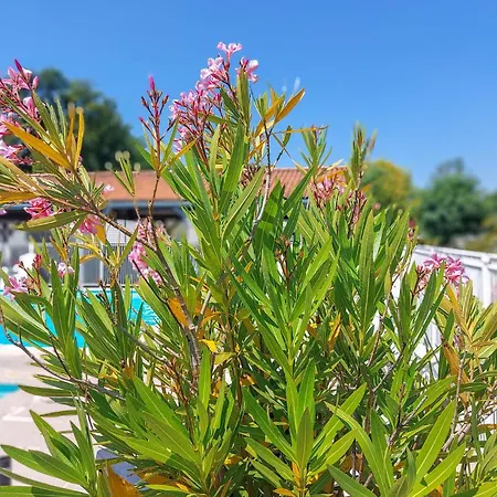 Cozy Stacaravan In Saint-Georges-De-Didon Parque de Campismo 3*