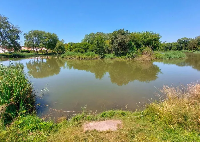 Camping Pet Friendly Stacaravan Saint-Georges-de-Didonne