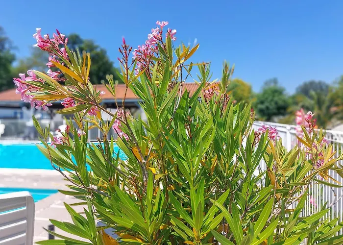 Pet Friendly Stacaravan Camping 3*